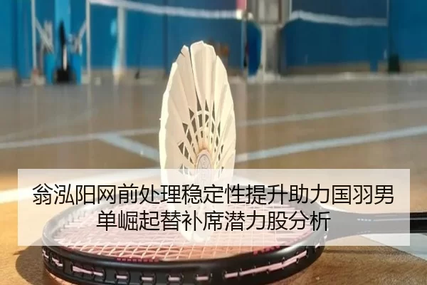 翁泓阳网前处理稳定性提升助力国羽男单崛起替补席潜力股分析
